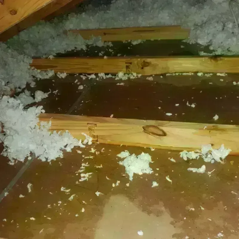 Best Attic Water Damage Service in Rossville, MD